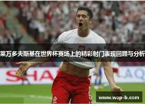 莱万多夫斯基在世界杯赛场上的精彩射门表现回顾与分析