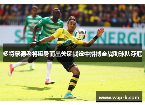 多特蒙德老将挺身而出关键战役中拼搏奋战助球队夺冠