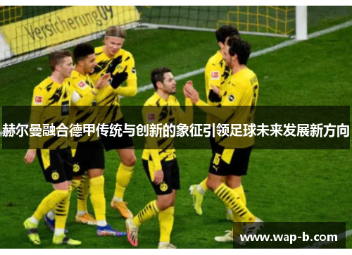 赫尔曼融合德甲传统与创新的象征引领足球未来发展新方向 赫尔曼融合德甲传统与创新的象征引领足球未来发展新方向