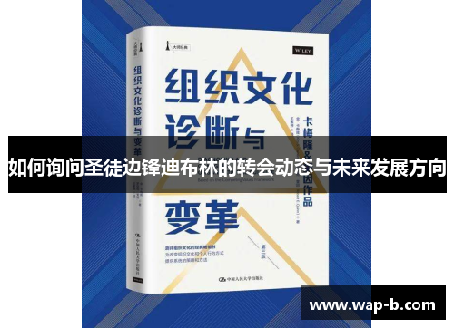 如何询问圣徒边锋迪布林的转会动态与未来发展方向