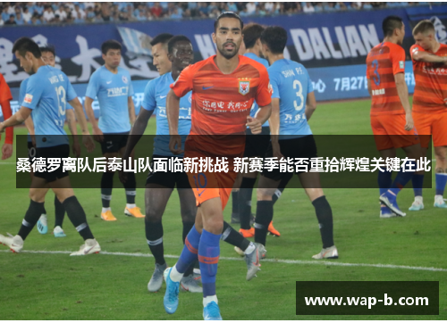 桑德罗离队后泰山队面临新挑战 新赛季能否重拾辉煌关键在此