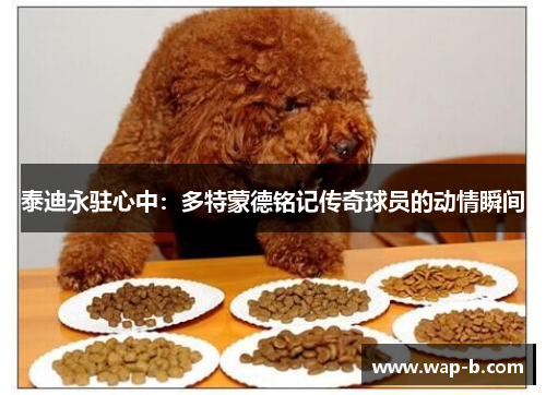 泰迪永驻心中:多特蒙德铭记传奇球员的动情瞬间 泰迪永驻心中:多特蒙德铭记传奇球员的动情瞬间