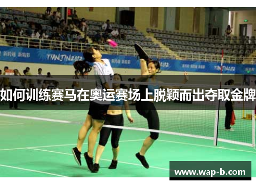 如何训练赛马在奥运赛场上脱颖而出夺取金牌 如何训练赛马在奥运赛场上脱颖而出夺取金牌