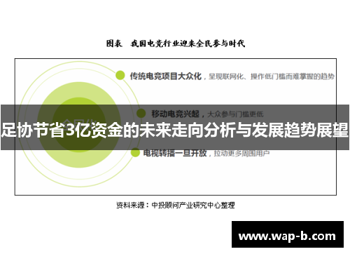 足协节省3亿资金的未来走向分析与发展趋势展望