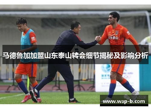 马德鲁加加盟山东泰山转会细节揭秘及影响分析