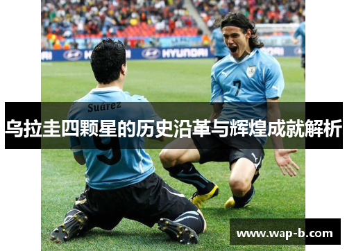 乌拉圭四颗星的历史沿革与辉煌成就解析