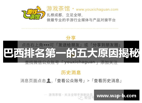 巴西排名第一的五大原因揭秘 巴西排名第一的五大原因揭秘