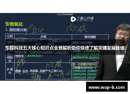 东超科技五大核心知识点全景解析助你快速了解关键发展脉络